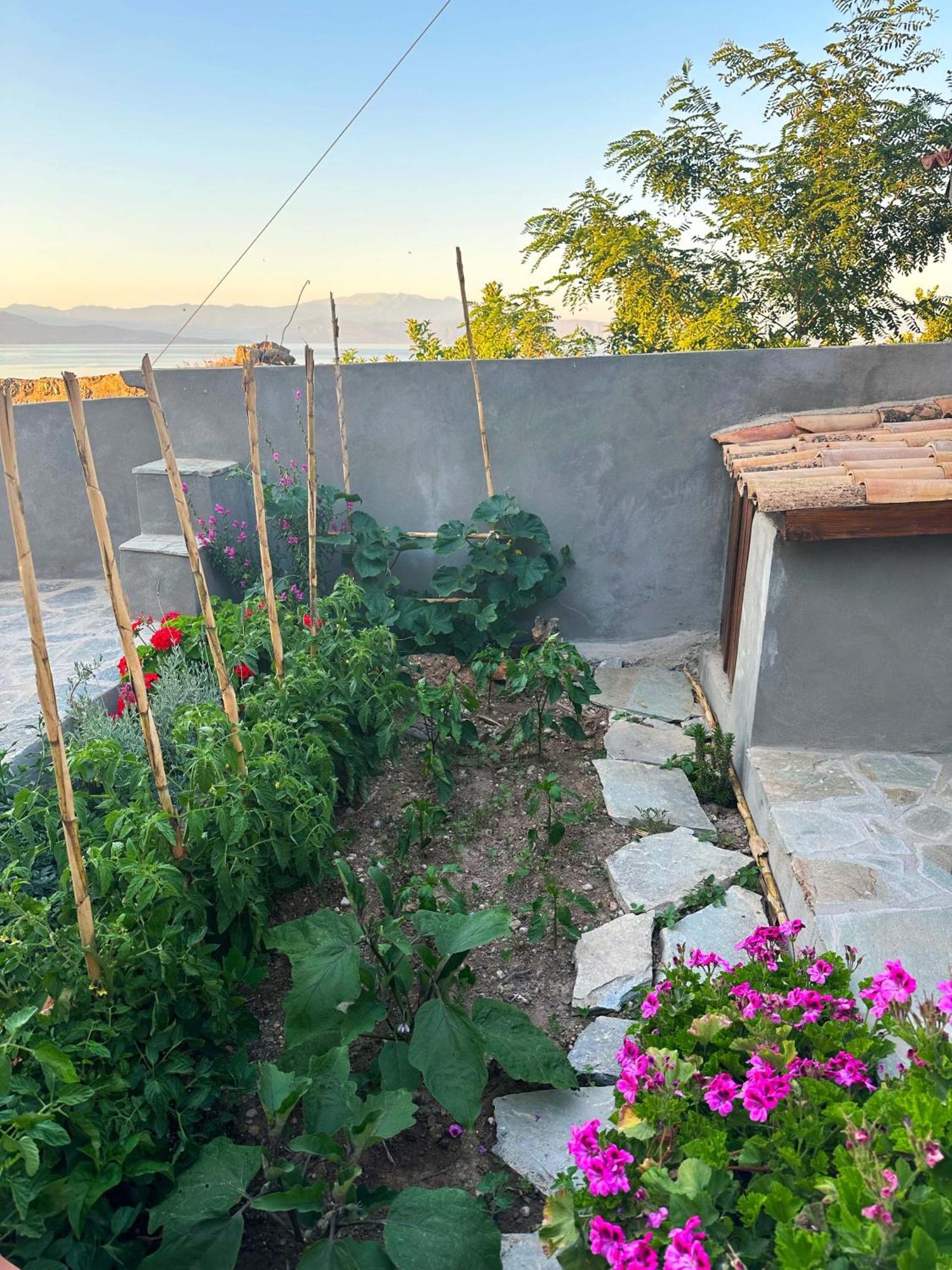 Ferienwohnung Fteri Stone House In Platanos, Akrata Exterior foto
